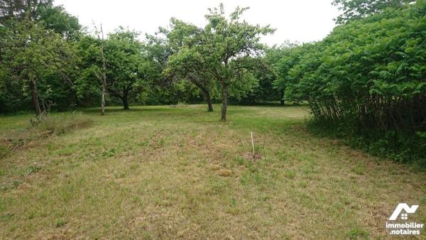 A vendre à Bayel à 6 km de Bar-sur-Aube et de ses commerces un terrain constructible arborée et...