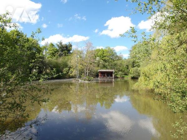 BETETE (23) CREUSE, A vendre à 15 mn de BOUSSAC au calme un ensemble immobilier en pierres à ré...