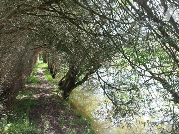BETETE (23) CREUSE, A vendre à 15 mn de BOUSSAC au calme un ensemble immobilier en pierres à ré...