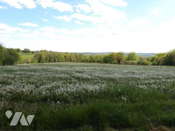 BETETE (23) CREUSE, A vendre à 15 mn de BOUSSAC au calme un ensemble immobilier en pierres à ré...