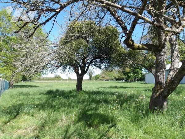 BETETE (23) CREUSE, A vendre à 15 mn de BOUSSAC au calme un ensemble immobilier en pierres à ré...