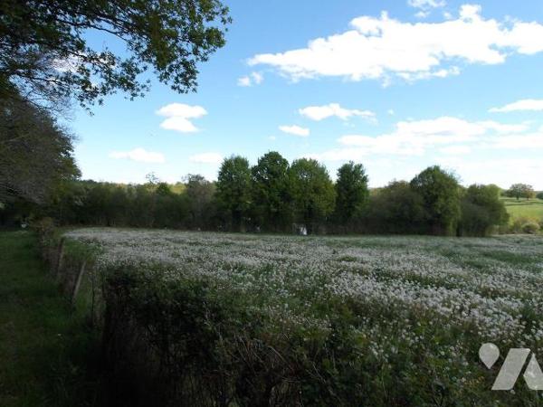 BETETE (23) CREUSE, A vendre à 15 mn de BOUSSAC au calme un ensemble immobilier en pierres à ré...