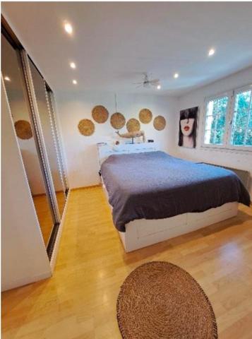 Maison familiale spacieuse avec jacuzzi à Chessy