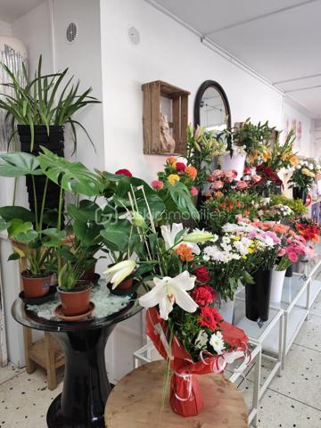 Vous souhaitez vous lancer dans une activité florale ou développer un projet dans l’univers de la décoration ? 

Découvrez ce fonds de commerce de fleuriste de 100 m2 climatisé proposé au prix de 198 000 €.  

📍 Situé à Six-Fours-les-Plages, ce local bénéficie d’un emplacement privilégié avec une belle visibilité, une grande vitrine et un parking gratuit.  
🌿 Le local se compose de plusieurs espaces fonctionnels :  une boutique chaleureuse dédiée à la vente ;  une grande réserve ;  une chambre froide ;  un espace cuisine ;  un espace sanitaire ;  un espace bureau.  
💐 Une belle clientèle et une activité diversifiée : décoration de véhicules, décoration de salles de mariage, préparation de couronnes funéraires, ainsi que la vente de fleurs tout au long de l’année pour accompagner les différents événements et moments festifs de la clientèle. 
 
✨ Un lieu chaleureux, prêt à accueillir votre projet, avec de belles possibilités de développement, notamment autour de la décoration d'intérieur et de l'évènementiel.
Un emplacement de qualité, une clientèle fidèle et un beau potentiel à ne pas manquer !

Pour tout renseignement complémentaire ou pour organiser une visite, n'hésitez pas à me contacter au 07 87 15 23 97
Carole LECOUTEUX - BSK Immobilier