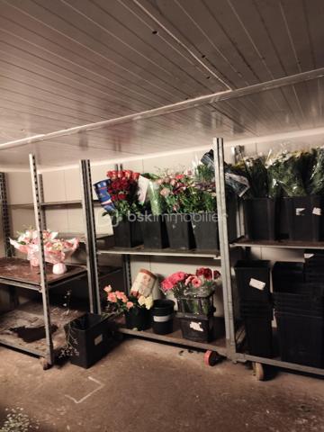Vous souhaitez vous lancer dans une activité florale ou développer un projet dans l’univers de la décoration ? 

Découvrez ce fonds de commerce de fleuriste de 100 m2 climatisé proposé au prix de 198 000 €.  

📍 Situé à Six-Fours-les-Plages, ce local bénéficie d’un emplacement privilégié avec une belle visibilité, une grande vitrine et un parking gratuit.  
🌿 Le local se compose de plusieurs espaces fonctionnels :  une boutique chaleureuse dédiée à la vente ;  une grande réserve ;  une chambre froide ;  un espace cuisine ;  un espace sanitaire ;  un espace bureau.  
💐 Une belle clientèle et une activité diversifiée : décoration de véhicules, décoration de salles de mariage, préparation de couronnes funéraires, ainsi que la vente de fleurs tout au long de l’année pour accompagner les différents événements et moments festifs de la clientèle. 
 
✨ Un lieu chaleureux, prêt à accueillir votre projet, avec de belles possibilités de développement, notamment autour de la décoration d'intérieur et de l'évènementiel.
Un emplacement de qualité, une clientèle fidèle et un beau potentiel à ne pas manquer !

Pour tout renseignement complémentaire ou pour organiser une visite, n'hésitez pas à me contacter au 07 87 15 23 97
Carole LECOUTEUX - BSK Immobilier