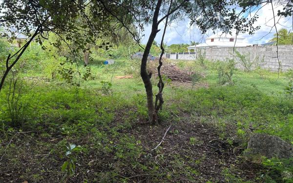 Terrain à vendre    Anse-Bertrand