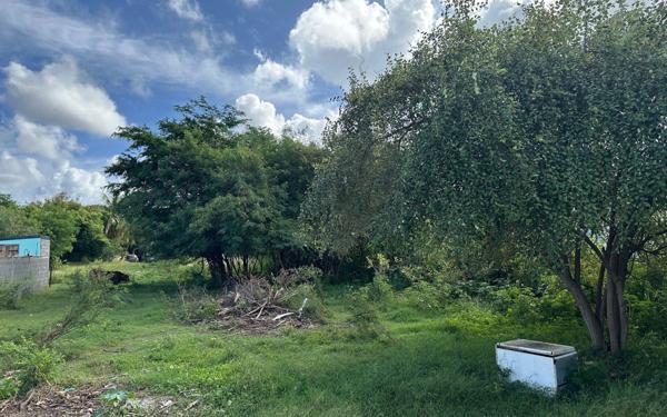 Terrain à vendre    Anse-Bertrand