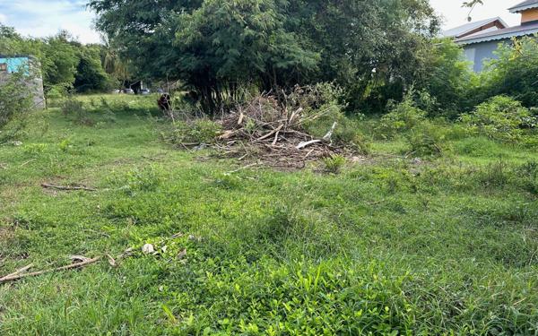 Terrain à vendre    Anse-Bertrand