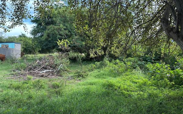 Terrain à vendre    Anse-Bertrand