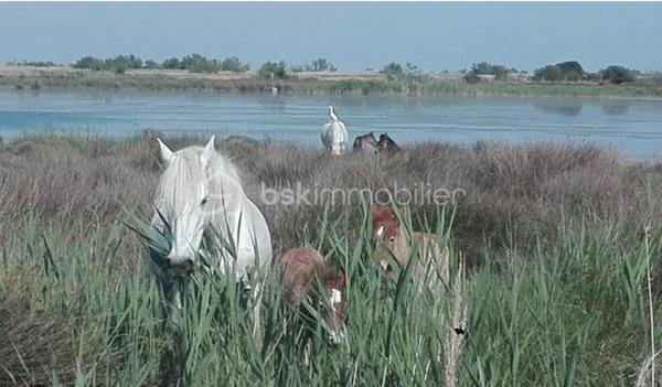 Maison de village de 63 m²