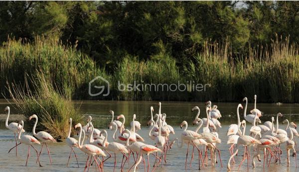 Maison de village de 63 m²