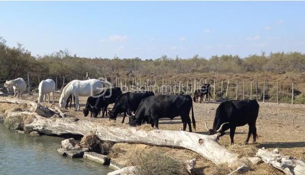 Maison de village de 63 m²