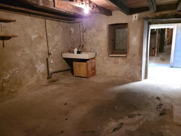 Maison plein centre, cave voûtée, terrasse, patio