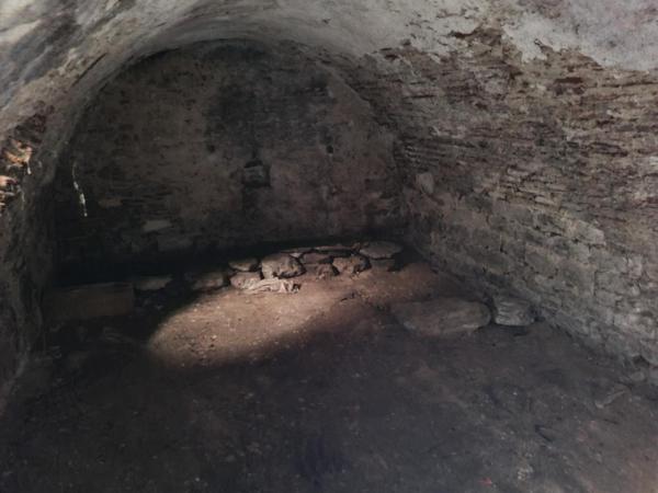 Maison plein centre, cave voûtée, terrasse, patio