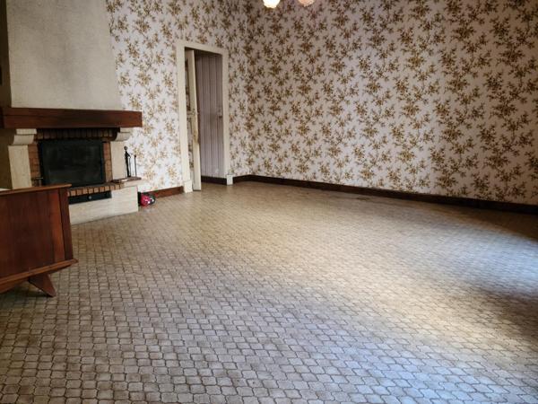 Maison plein centre, cave voûtée, terrasse, patio