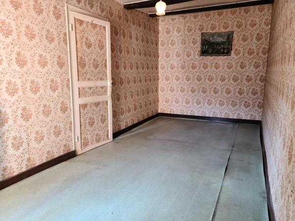 Maison plein centre, cave voûtée, terrasse, patio