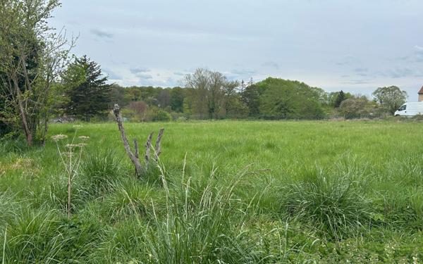 Terrain à vendre    Villers-Cotterêts