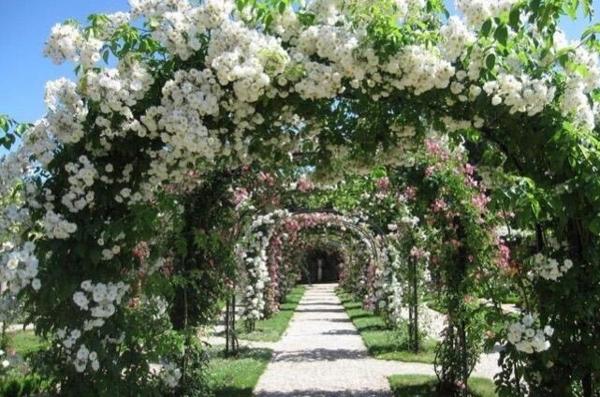 T5 NEUF L’HAŸ-LES-ROSES