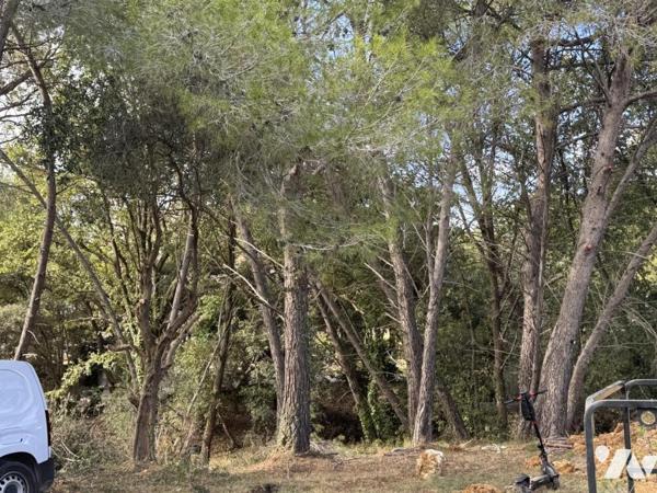 Vallauris Impiniers  Projet d'une construction de maison de  140 m2 sur un Terrain de 1400 m2 