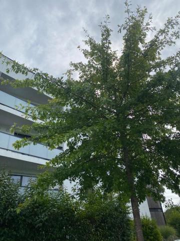 Aux portes de Vannes Appartement Saint Ave 2 pièce(s) 42 m2