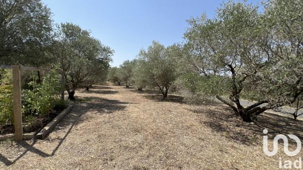 Maison à vendre 5 pièces 97 m² Bize-Minervois