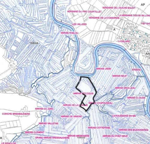 Terrain de loisirs marais Ile d'Olonne