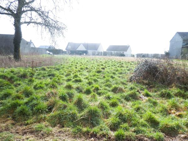 Terrain à Bâtir de 2300 m²