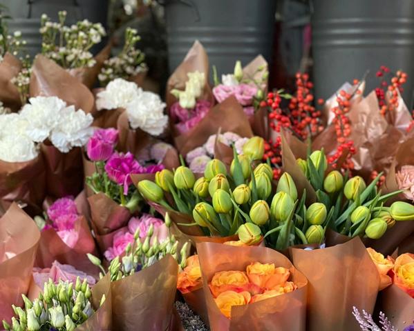 Fonds de commerce Fleuriste à VENTABREN (13)