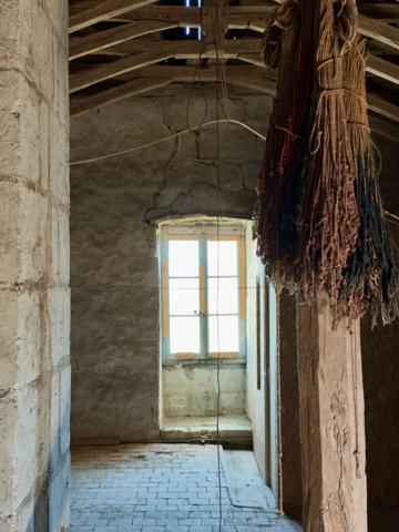 TRÈVES, Ancien Logis du début XVIIème siècle de 265m² sur jardin arboré de 1600m²