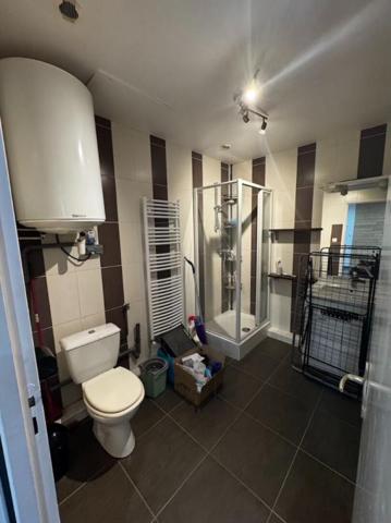 Appartement Saint Genest Lerpt 3 pièce(s) 41 m2