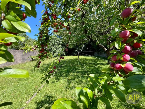 Vente maison Nantes : 377 300 € - AJP Immobilier Nantes Nord