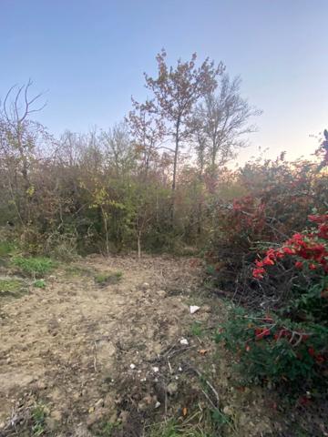 Achat terrain Villemur-sur-Tarn - 1260 m² - 3 000 €