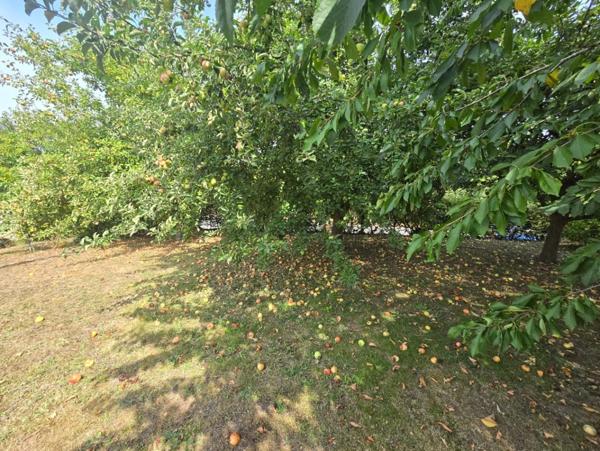 02 - Vente longère individuelle NEUVE-MAISON - 6 pièces 122 m² - Terrain 1673 m²