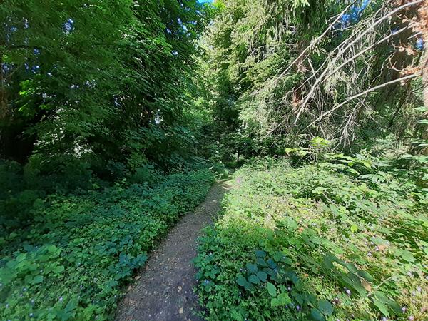 BEAUVAIS PROCHE MAISON 9 PIECES SEJOUR SALLE A MANGER CUISINE SUITE PARENTALE 4 CHAMBRES BUREAU SALLE D'EAU DEPENDANCES GARAGE DOUBLE CAVE JARDIN DE PLUS DE 3800M²