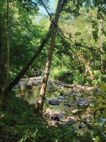Connaissez-vous Roquetaillade, dans l'Aveyron ? Ce petit hameau, rattaché à la commune de Montjaux, accueille une maison prête à être redécouverte : un cadre propice au calme et au ressourcement.
Inoccupée depuis quelque temps, la maison nécessite des travaux de remise en état et pourra être aménagée selon vos envies. Ses trois chambres de 11, 9 et 8 m² accueilleront aisément une petite famille, que ce soit pour une résidence principale ou des séjours de vacances. Vous profiterez d'une terrasse de 14 m² offrant une belle vue, ainsi que de promenades au bord de la Muse, en contrebas de la maison
Une salle d'eau est située au 1er étage ; une seconde, au sous-sol, est entièrement à rénover. La grande pièce de vie de 34 m², très lumineuse grâce à ses trois fenêtres, offre un espace convivial. La cheminée, équipée d'un insert bois, garantit des soirées chaleureuses en hiver.
Des travaux sont à prévoir au sous-sol, notamment la pose d'un nouvel escalier. 
Vous succomberez au charme de ses murs en pierre. 
Ne tardez pas à venir la visiter.