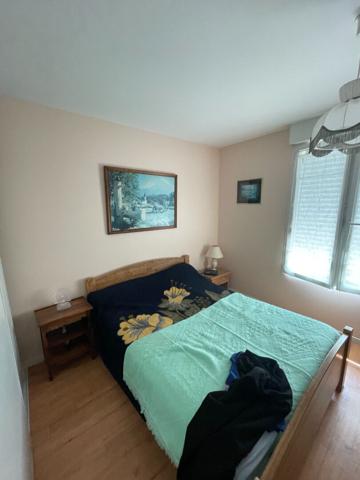 Appartement Saint Jean De Braye 2 pièce(s) 46,94 m2