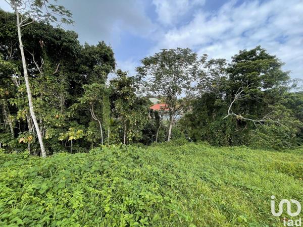 Maison à vendre 4 pièces 95 m² Petit-Bourg