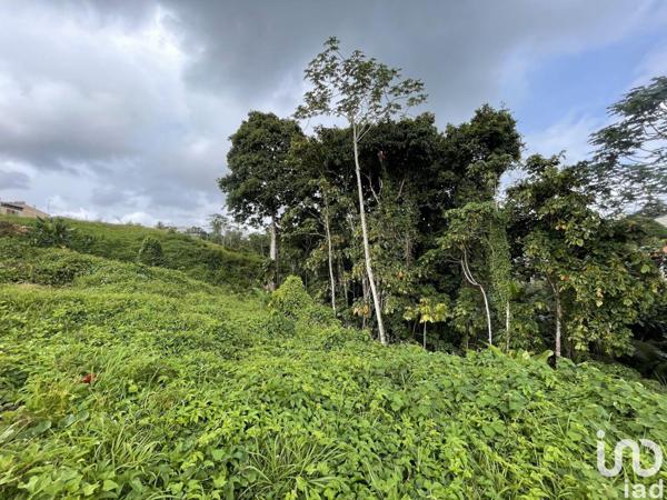 Maison à vendre 4 pièces 95 m² Petit-Bourg