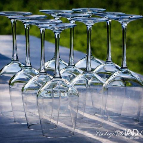 Murs commerciaux  à vendre 800 m² Boutenac-Touvent