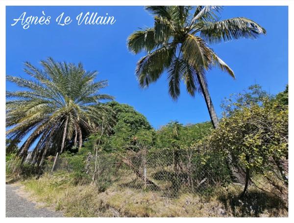 Terrain Plat Vue Mornes à Malendure