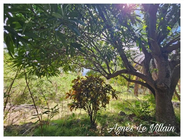 Terrain Plat Vue Mornes à Malendure