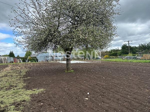 Terrain Questembert, commerces et écoles à pied, 1000 m²