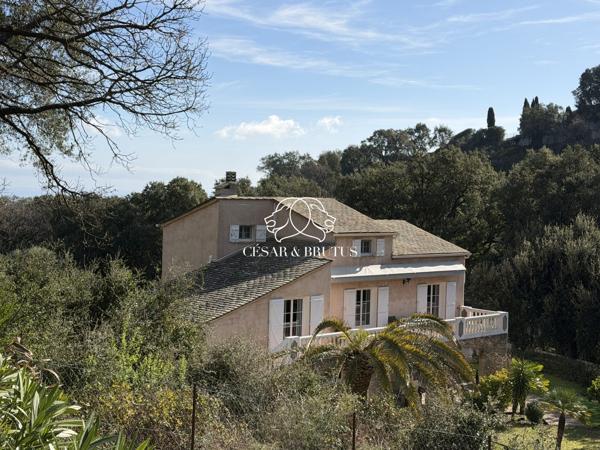 Grande maison a BORGO