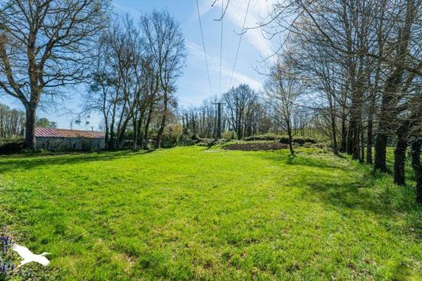 Maison à vendre 265 500 € Lestelle-de-Saint-Martory 4 p 120 m² DPE A