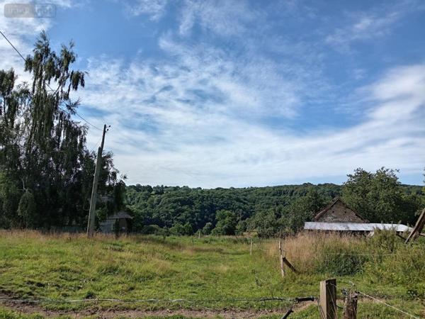 Maison à vendre à Virey dans la Manche (50600), ref : 50079-324