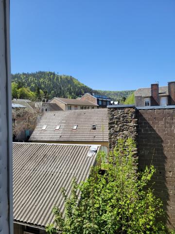 Spacieux appartement rénové 80 m2 - Vue sur Charlanne - Hyper centre