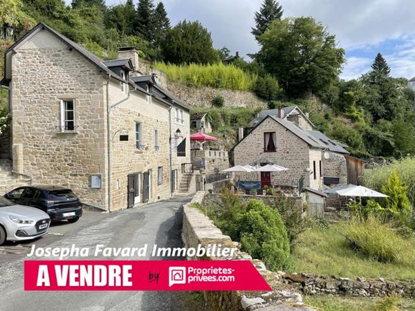 Ensemble à Treignac  4 Propriétés et Berges sur la Vézère