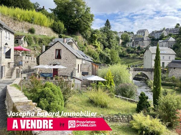 Ensemble à Treignac  4 Propriétés et Berges sur la Vézère