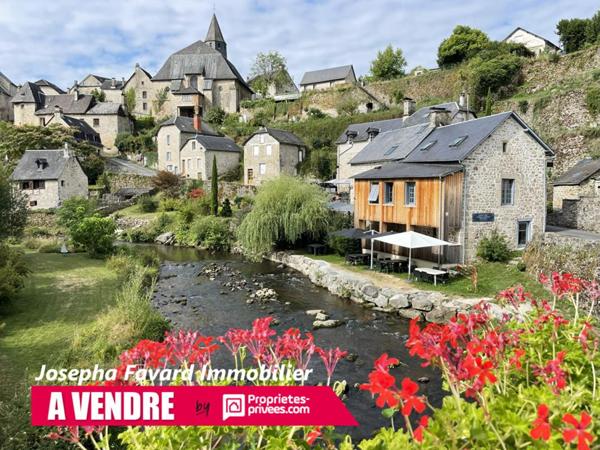 Ensemble à Treignac  4 Propriétés et Berges sur la Vézère