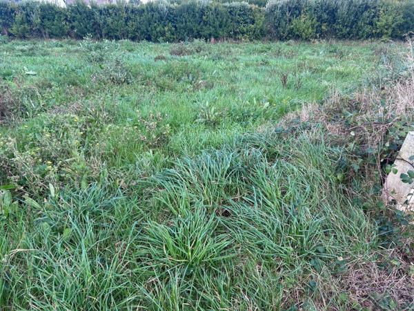 Terrain constructible viabilisé